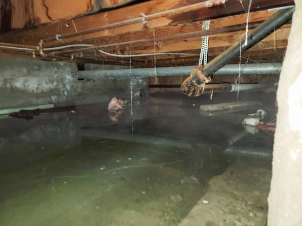 Best Water damage repair service  in West Springfield, VA