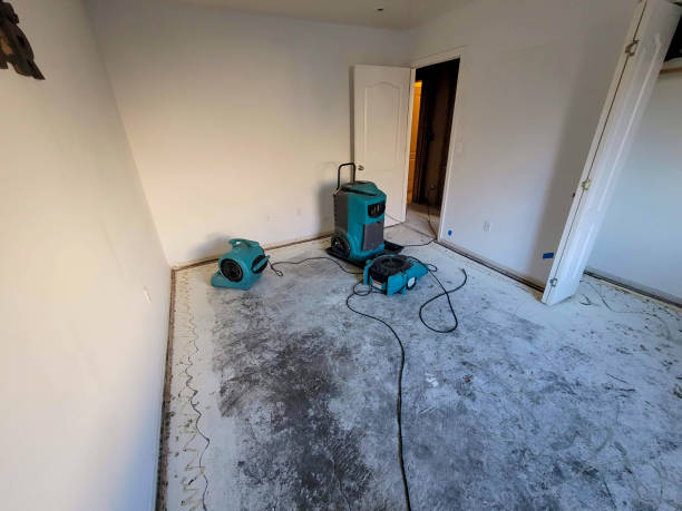 Best Flood restoration services  in West Springfield, VA