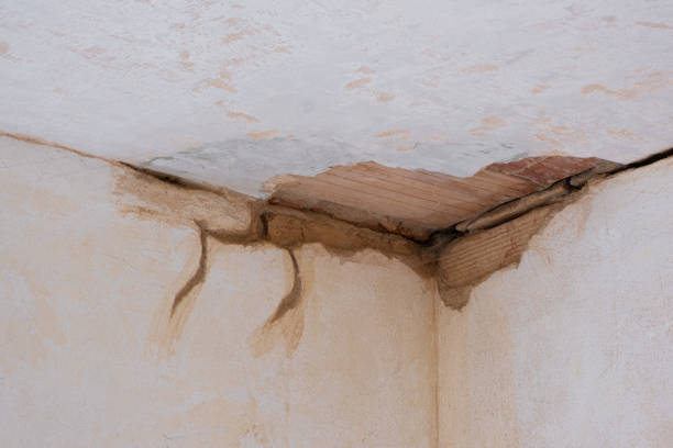 Best Flood restoration services  in West Springfield, VA