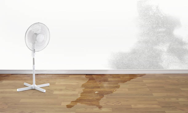 Best Water damage restoration near me  in West Springfield, VA