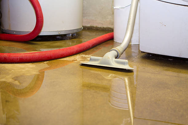 Best Basement water damage restoration  in West Springfield, VA